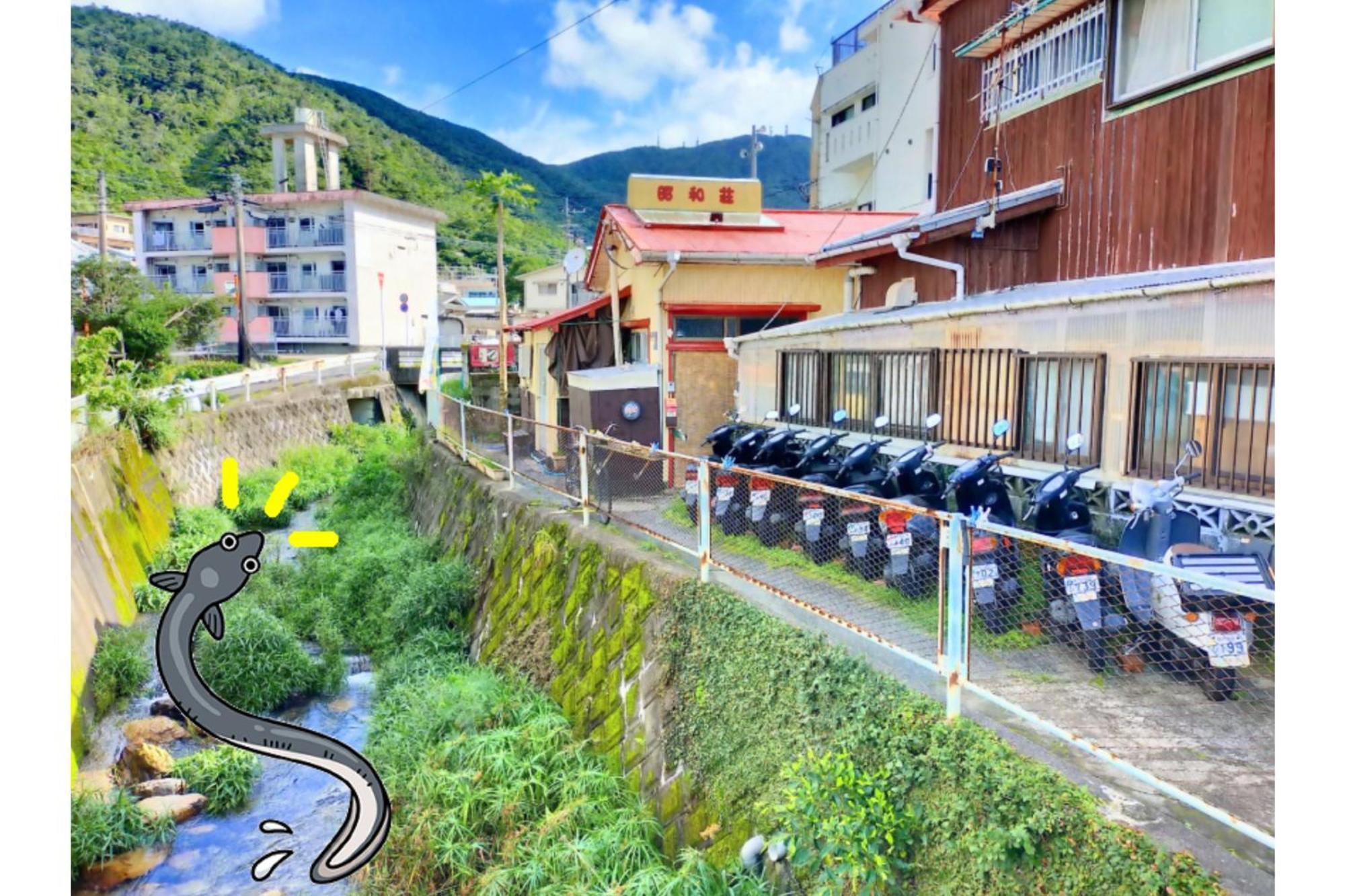 Amami Guest House Showa-So Setouchi  Exterior photo
